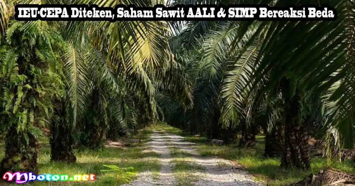 IEU-CEPA Diteken, Saham Sawit AALI & SIMP Bereaksi Beda 5 IEU-CEPA Diteken, Saham Sawit AALI & SIMP Bereaksi Beda