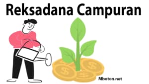 Reksadana Campuran Reksadana campuran merupakan memiliki asset yang tinggi untuk mengalokasikan dana berbagai investasi pada pasar reksadana