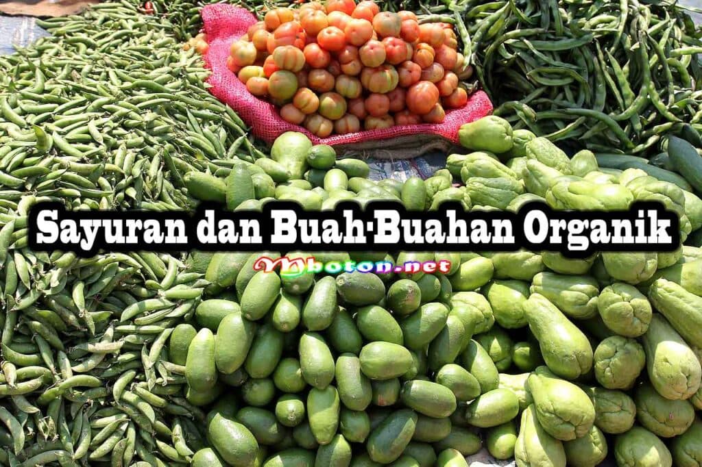 Sayuran dan Buah-Buahan Organik Sayuran dan Buah-Buahan Organik