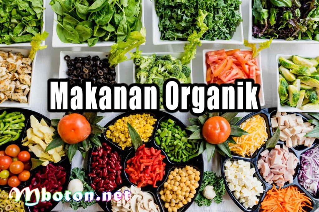 Makanan Organik