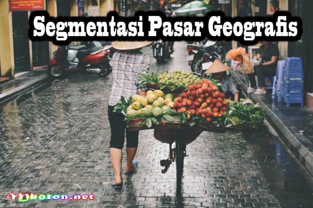 Segmentasi Pasar Geografis