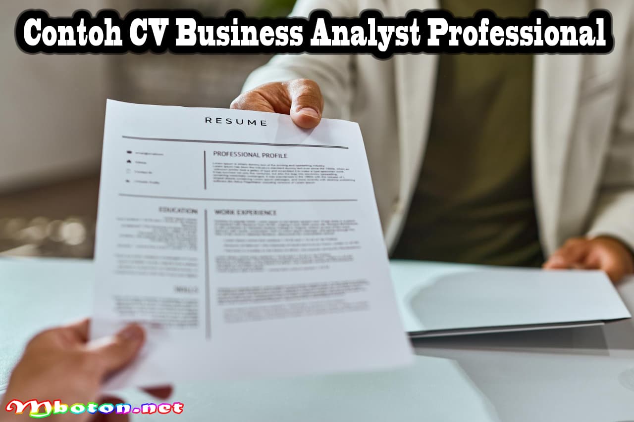 Contoh CV Business Analyst Professional