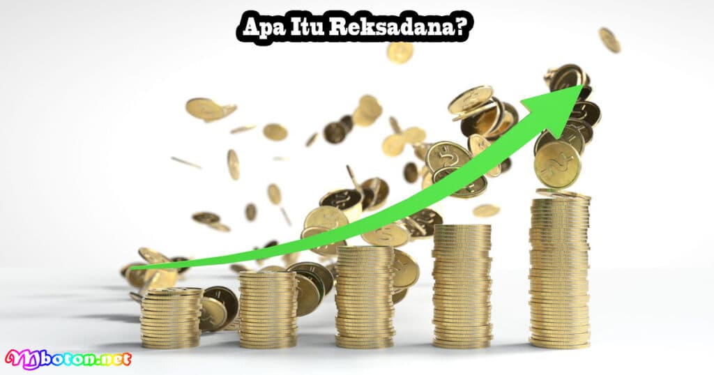 Apa Itu Reksadana? Jenis, Risiko, & Tips Memilihnya 1 Apa Itu Reksadana?