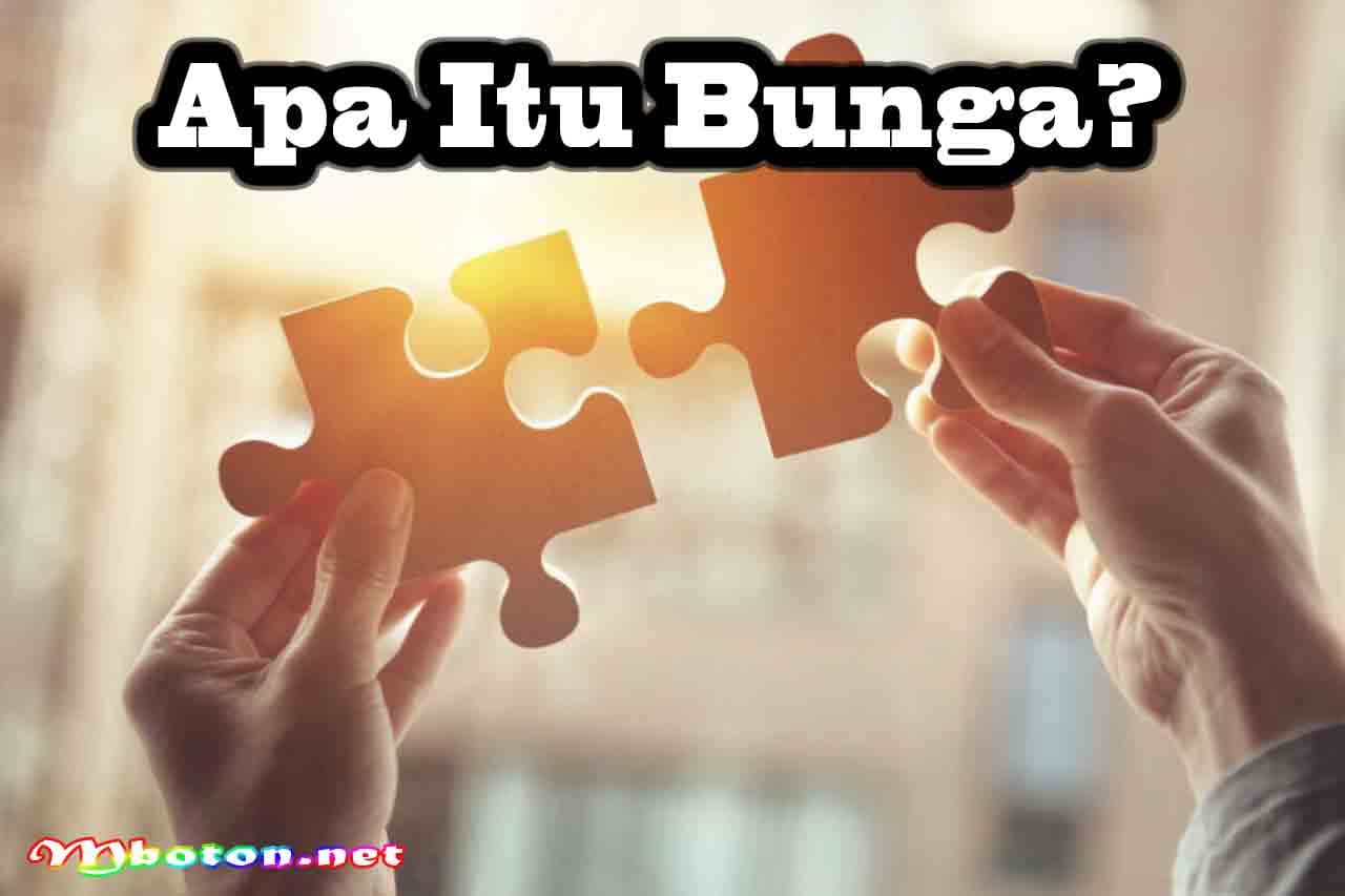 Perbedaan Bunga dan Bagi Hasil Untuk Bisnis Partner Network 1 Apa Itu Bunga