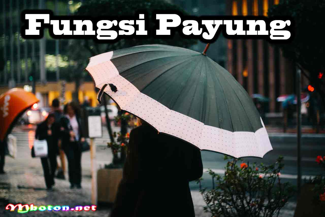 10 Jenis Payung Terbaik Favorit Cocok Untuk Merchandise 1 Fungsi Payung
