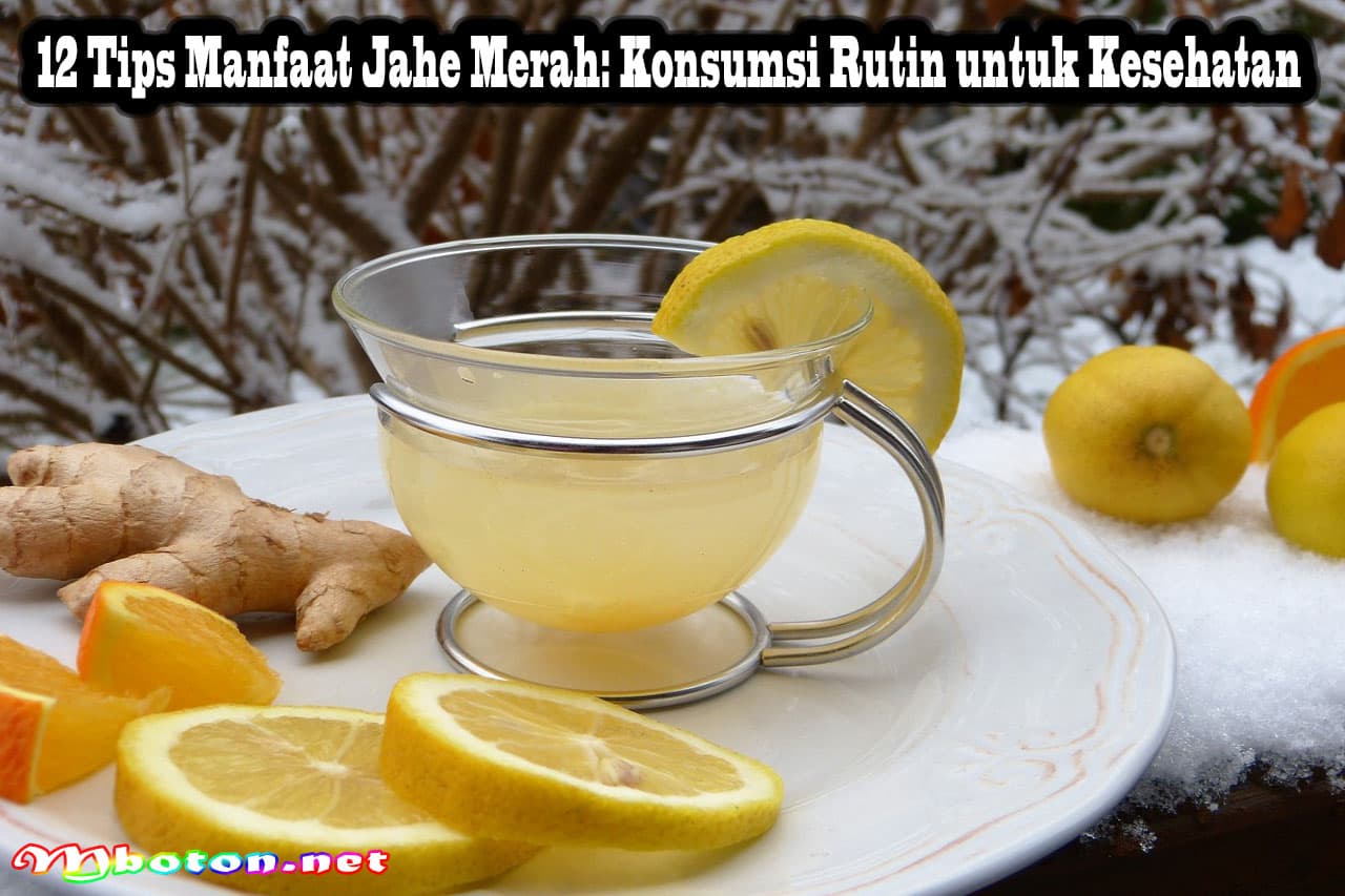 12 Tips Manfaat Jahe Merah: Konsumsi Rutin untuk Kesehatan 16 12 Tips Manfaat Jahe Merah: Konsumsi Rutin untuk Kesehatan