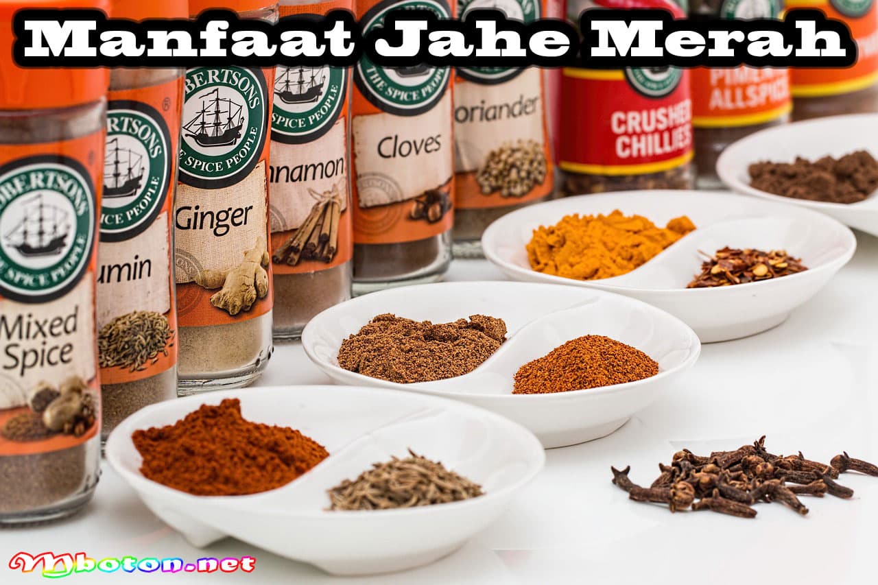 12 Tips Manfaat Jahe Merah: Konsumsi Rutin untuk Kesehatan 1 Manfaat Jahe Merah