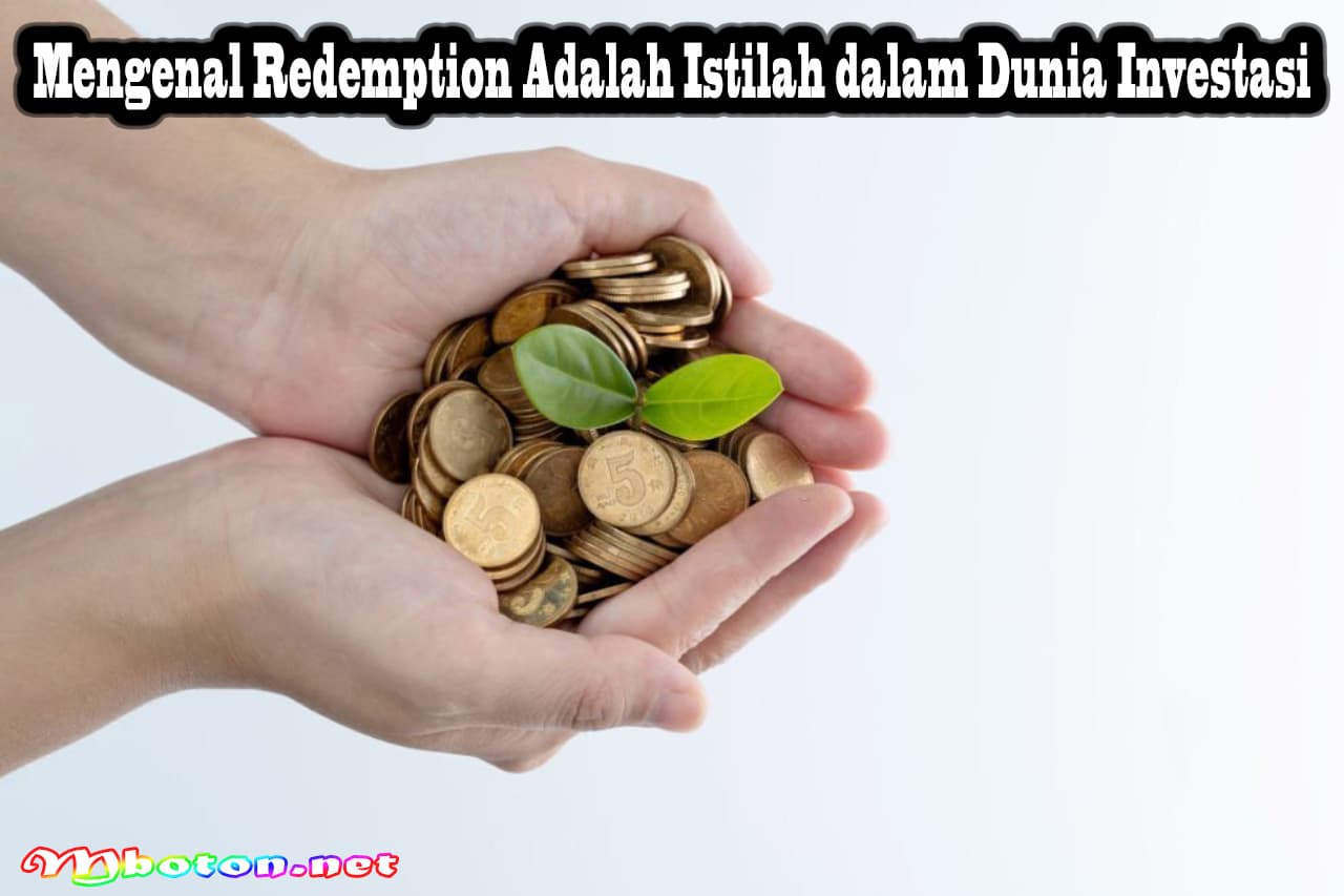 Mengenal Redemption Adalah Istilah dalam Dunia Investasi