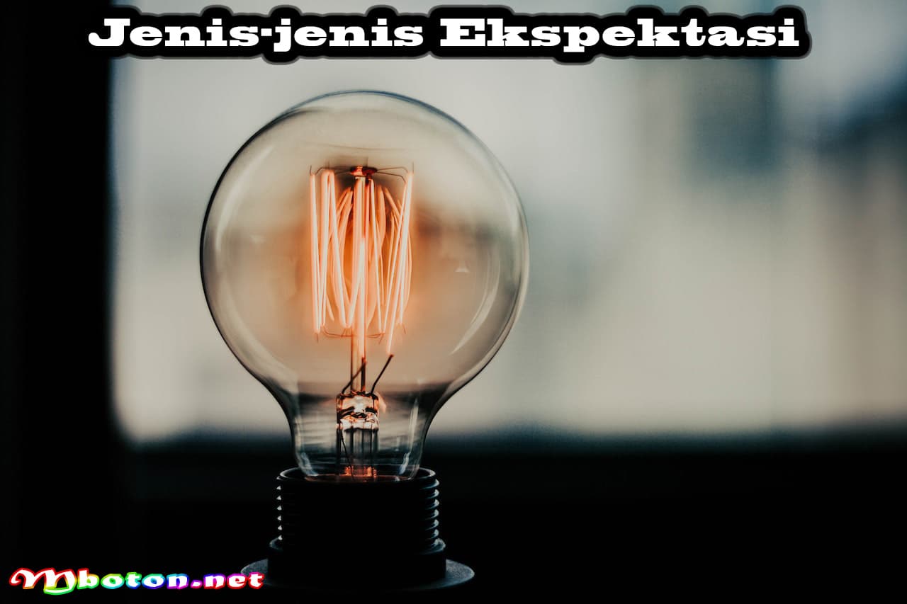Pengertian Ekspektasi, Jenis-jenis, Contoh yang Efektif 3 Jenis-jenis Ekspektasi