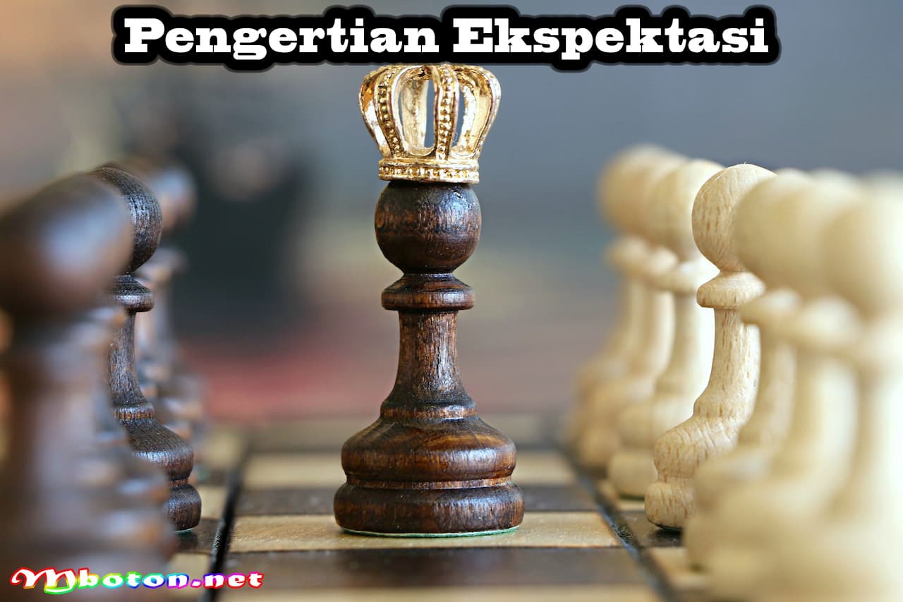 Pengertian Ekspektasi, Jenis-jenis, Contoh yang Efektif 1 Pengertian Ekspektasi