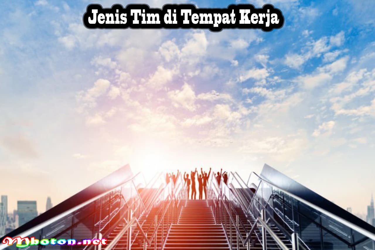 Kenali Jenis Tim: Tujuan Untuk Berkolaborasi yang Efektif 1 Jenis Tim di Tempat Kerja