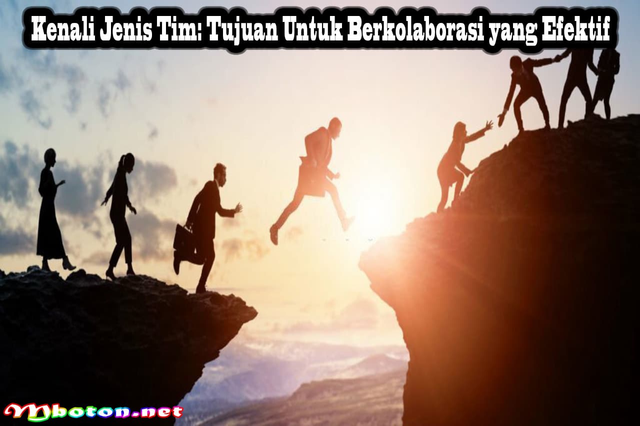 Kenali Jenis Tim: Tujuan Untuk Berkolaborasi yang Efektif 6 Kenali Jenis Tim: Tujuan Untuk Berkolaborasi yang Efektif