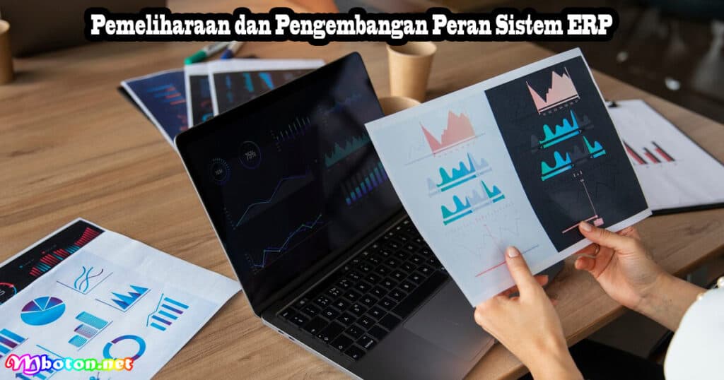 Peran Sistem ERP Dalam Meningkatkan Bisnis Efisiensi Perusahaan 3 Pemeliharaan dan Pengembangan Peran Sistem ERP