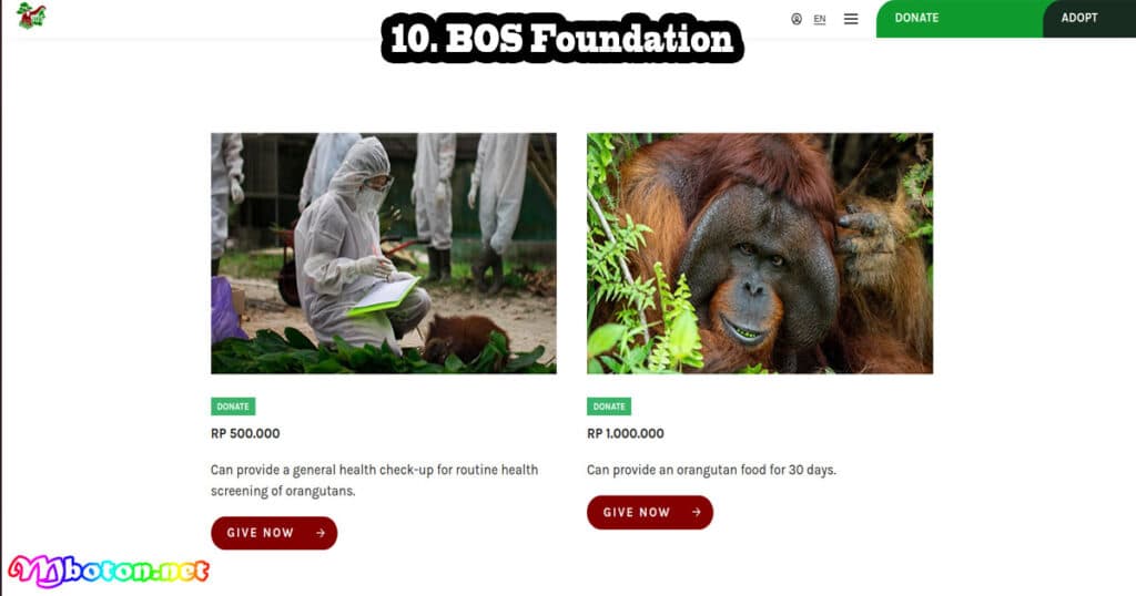 12 Website Donasi Penggalangan Dana Online Terbaik 5 BOS Foundation