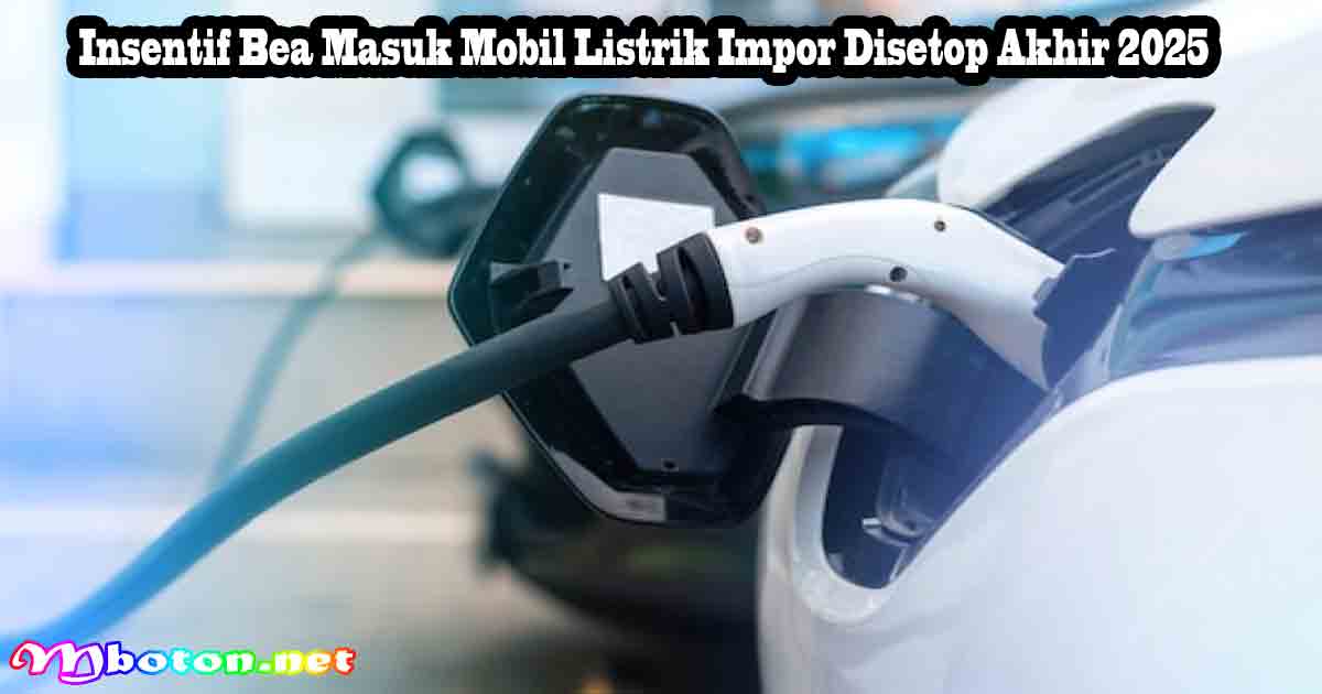 Insentif Bea Masuk Mobil Listrik Impor Disetop Akhir 2025 1 Insentif Bea Masuk Mobil Listrik Impor Disetop Akhir 2025