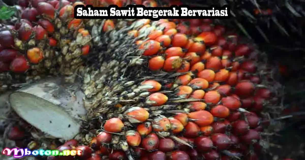 IEU-CEPA Diteken, Saham Sawit AALI & SIMP Bereaksi Beda 1 Saham Sawit Bergerak Bervariasi