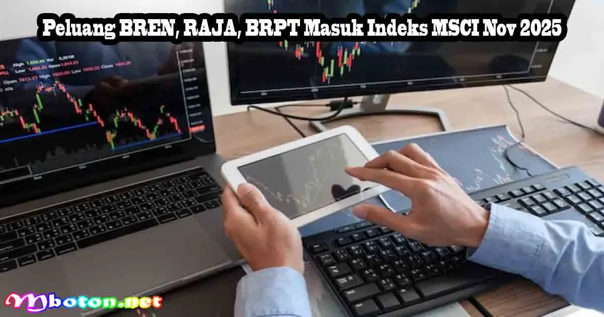 Peluang BREN, RAJA, BRPT Masuk Indeks MSCI Nov 2025