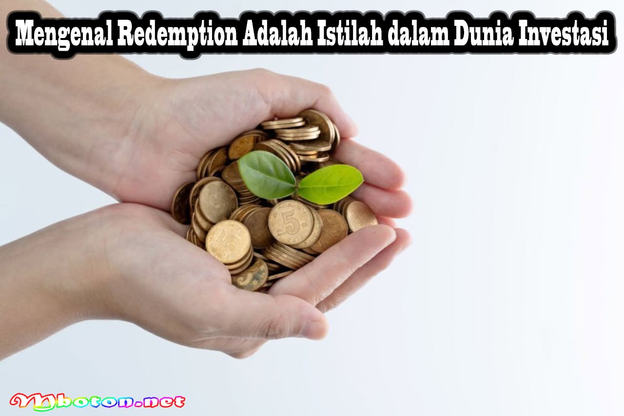 Mengenal Redemption Adalah Istilah dalam Dunia Investasi 9 Mengenal Redemption Adalah Istilah dalam Dunia Investasi