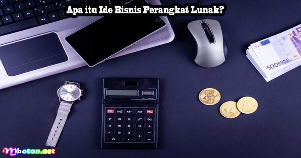 14 Ide Bisnis Perangkat Lunak Terbaik booming Sepanjang Masa 1 Apa itu Ide Bisnis Perangkat Lunak?