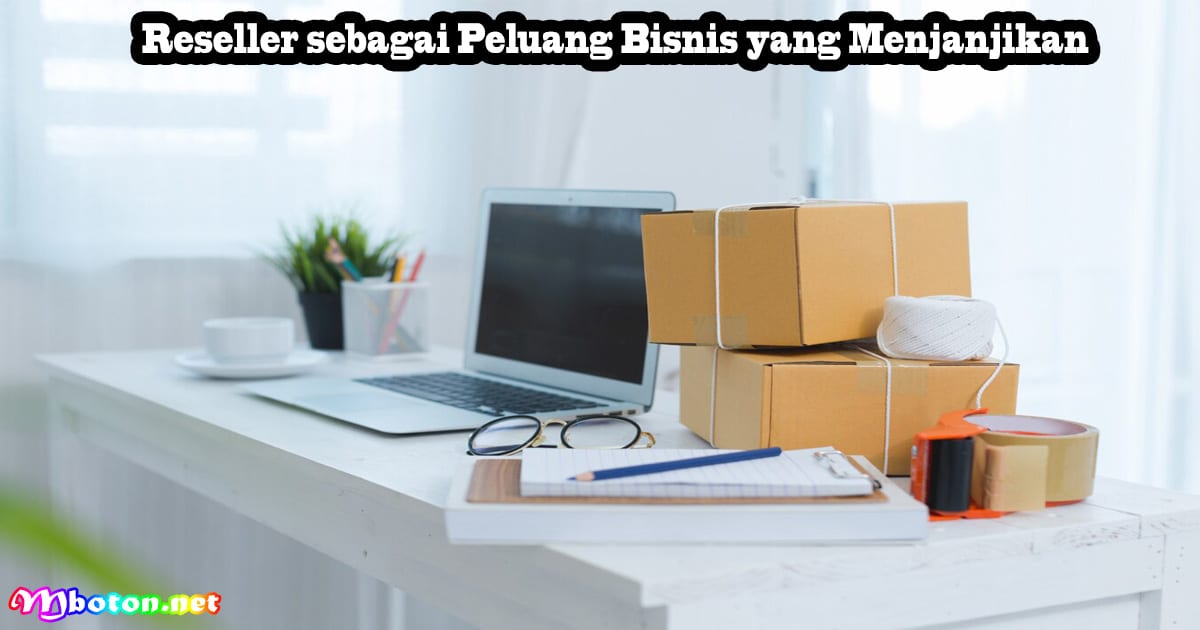 Reseller sebagai Peluang Bisnis yang Menjanjikan