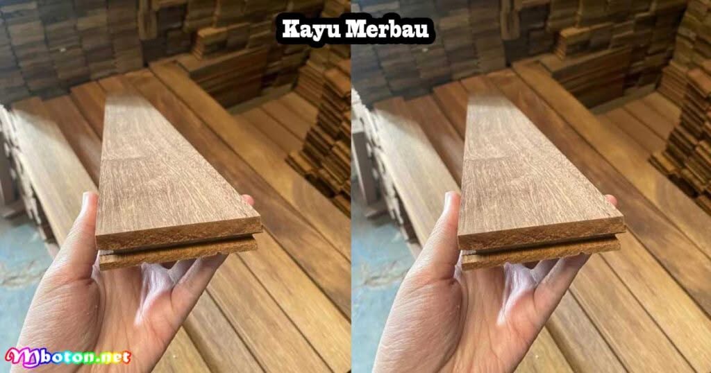 10 Jenis Kayu Terbaik Sering Digunakan Membuat Kursi 2 Kayu Merbau