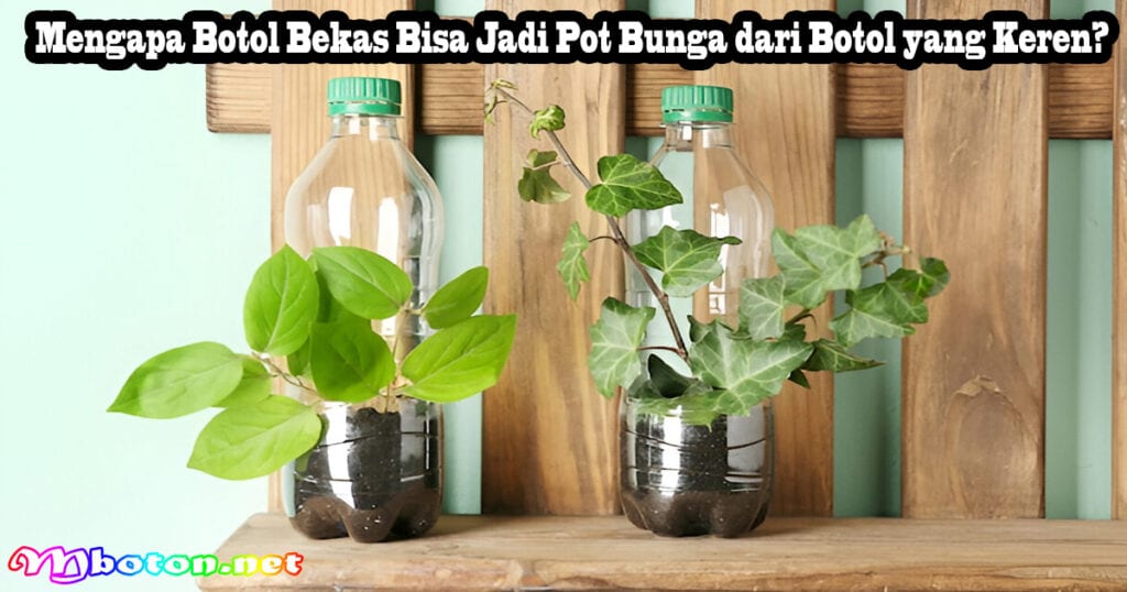 10 Sederhana Cara Membuat Pot Bunga dari Botol 1 Mengapa Botol Bekas Bisa Jadi Pot Bunga dari Botol yang Keren?