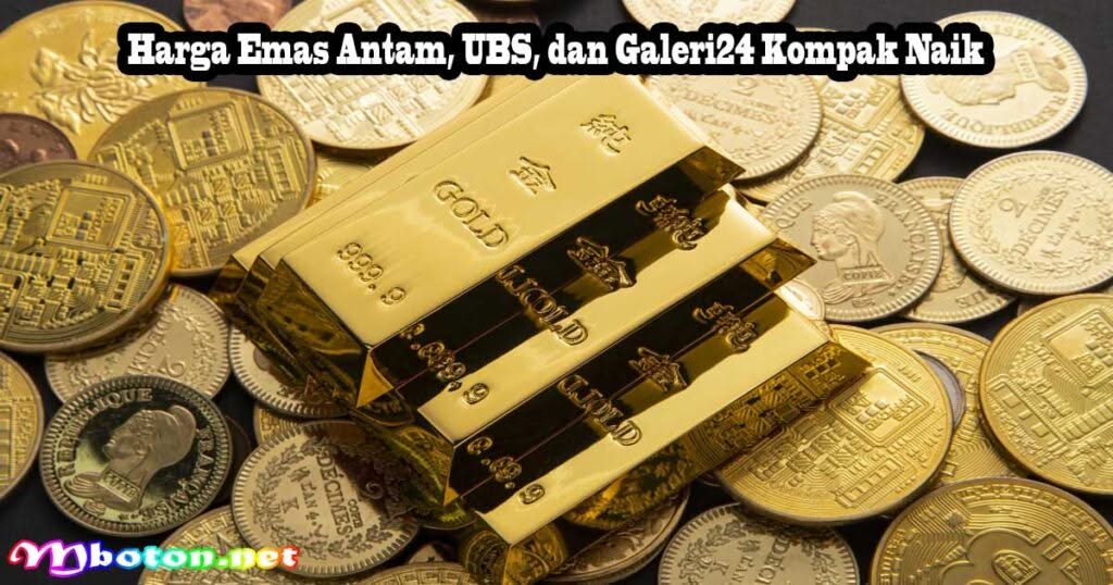 Harga Emas Antam, UBS, dan Galeri24 Kompak Naik